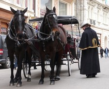 IBWS 2009  47